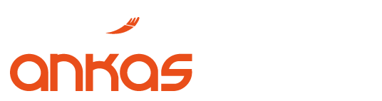 Ankas Steel Logo