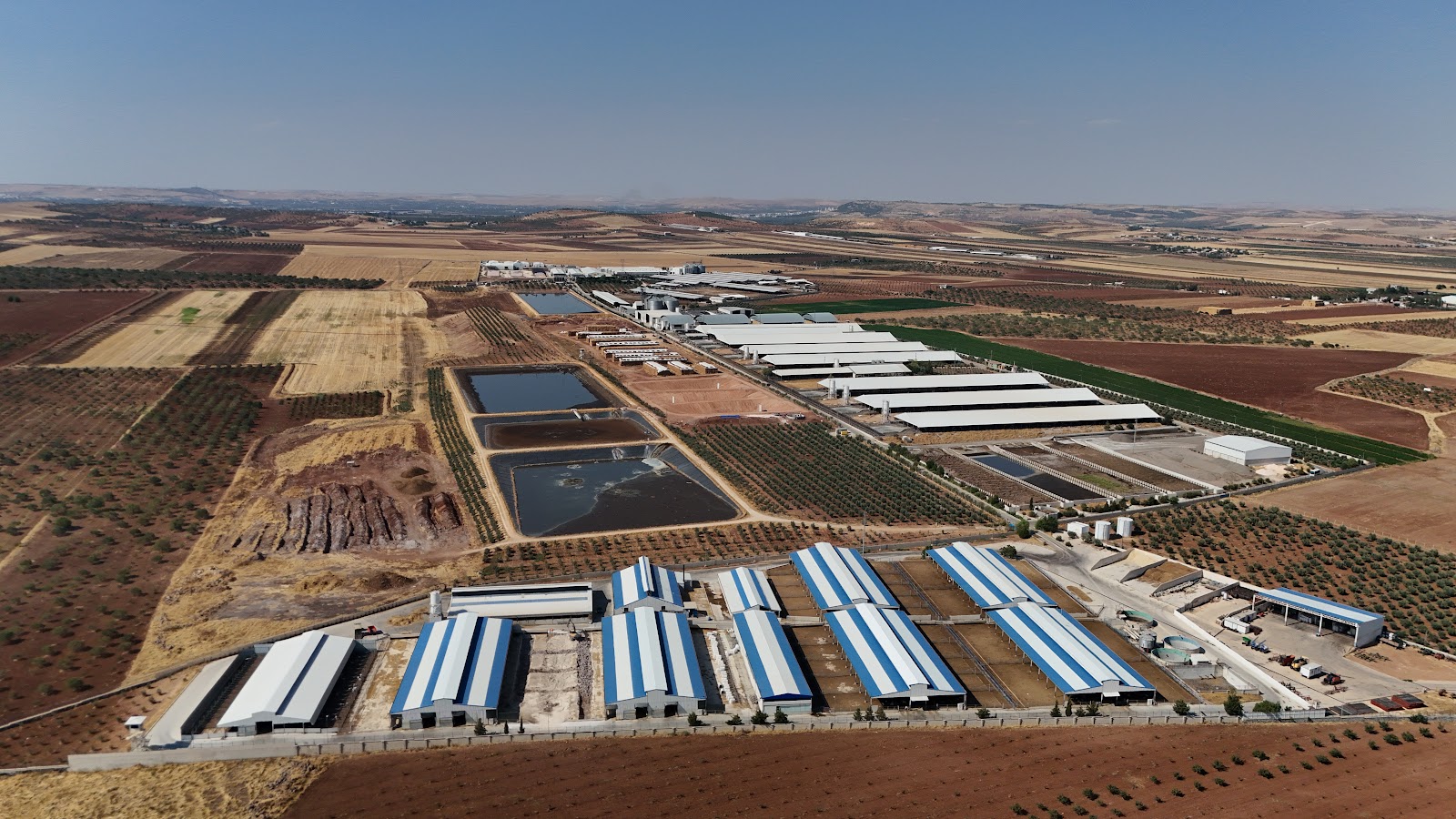 Besi, Sağmal & Yem Merkezi 2